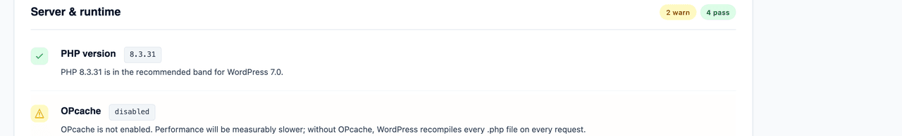 Per-finding view with pass and warning status icons and plain-English technical detail for each check.