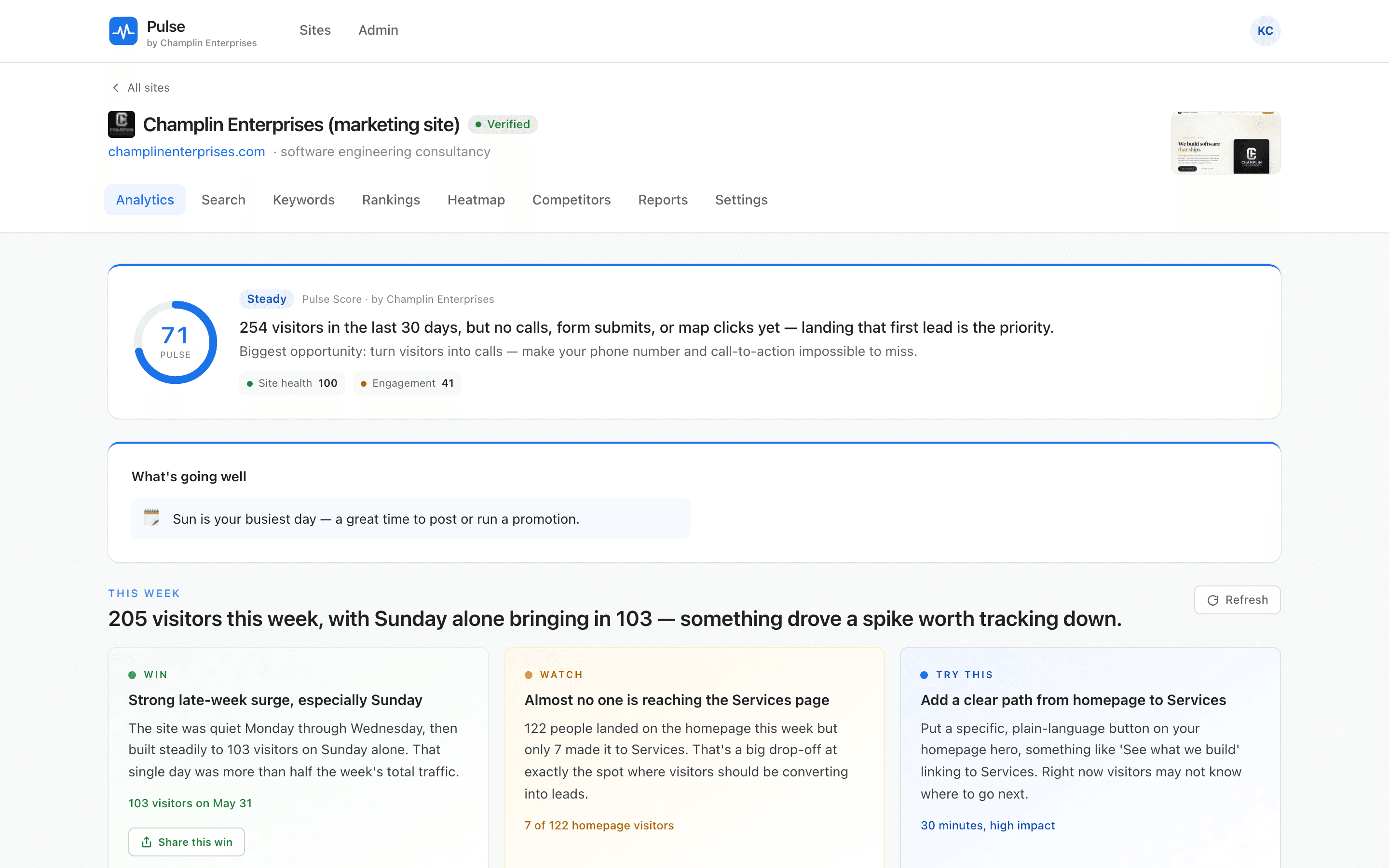 Pulse — a 0 to 100 Pulse Score with a plain-English verdict on traffic and local SEO