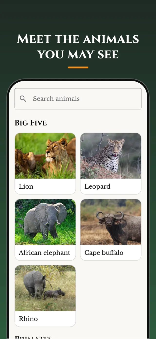 A&H Safari wildlife guide listing the Big Five: lion, leopard, elephant, buffalo and rhino