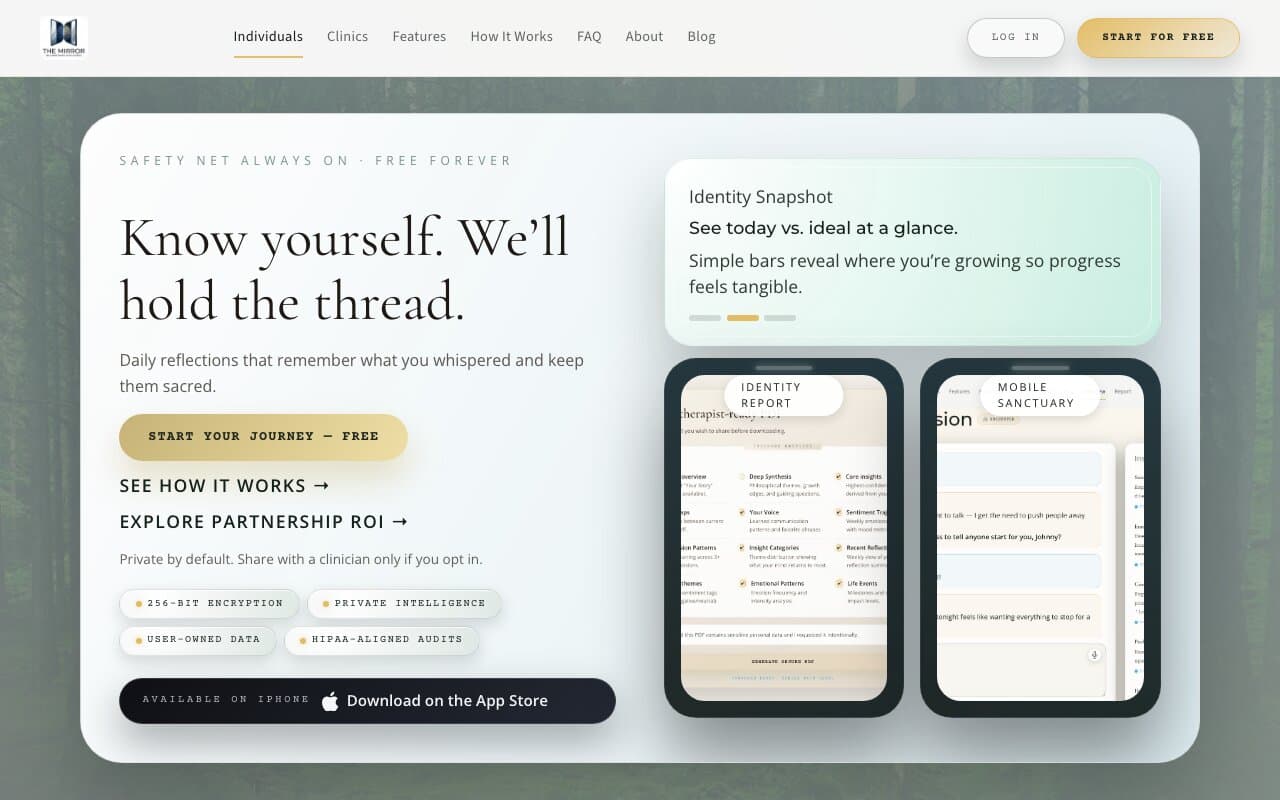 The Mirror — Project Screenshot