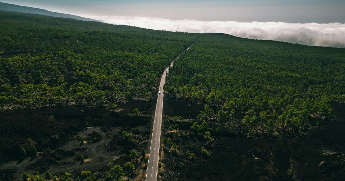 Aerial shot of a road through a green forest under clear blue skies.