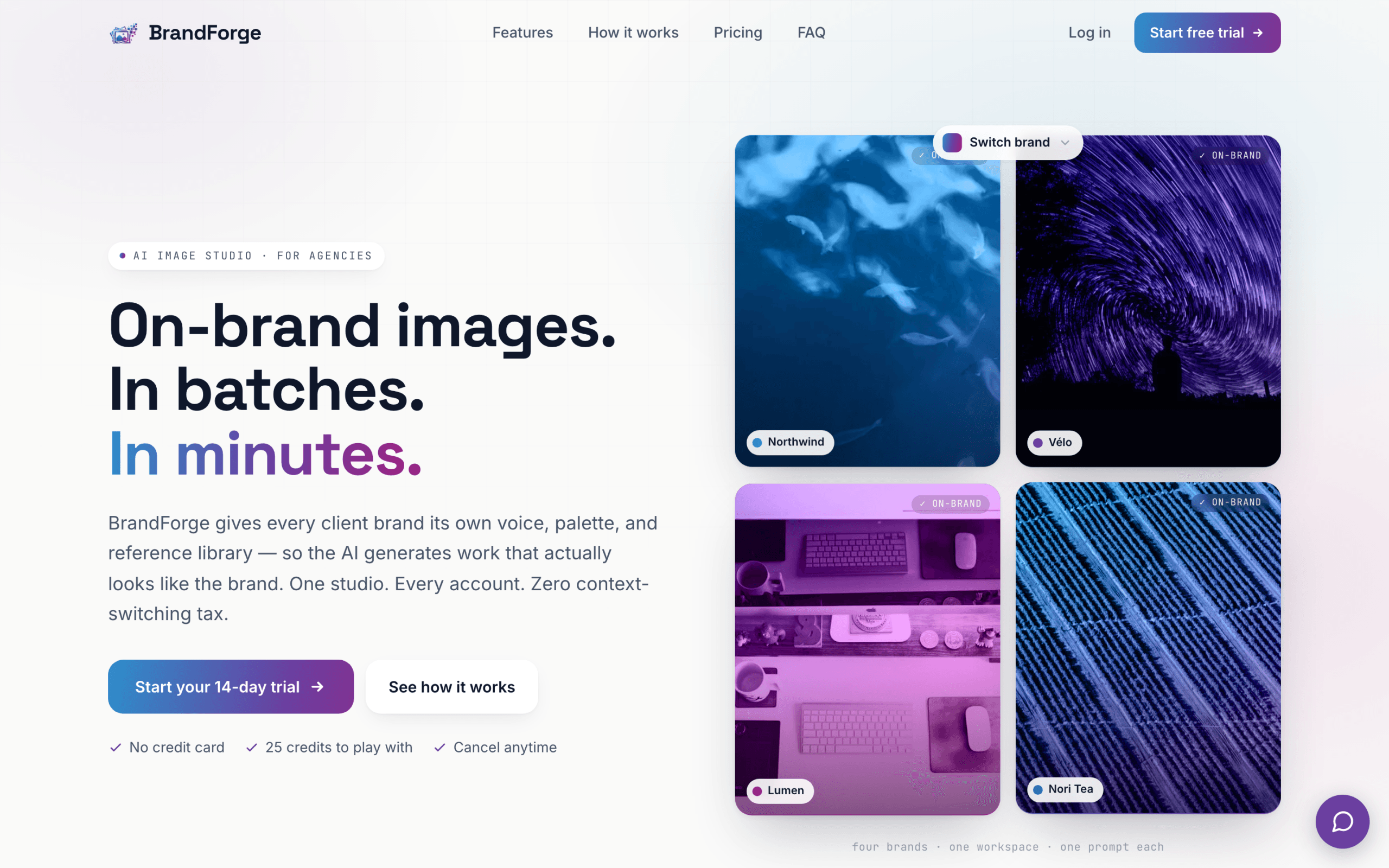 BrandForge — Project Screenshot