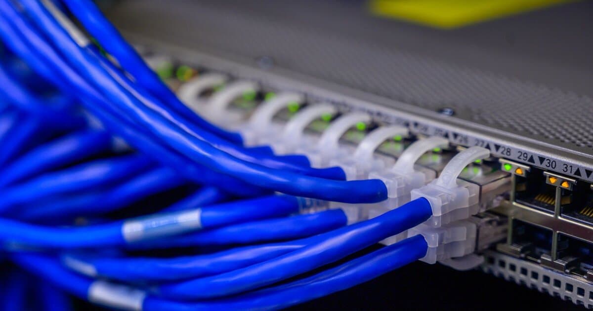 Detailed view of blue ethernet cables connected to a network switch in a data center.